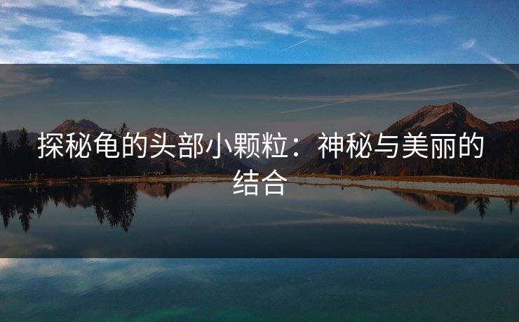 探秘龟的头部小颗粒：神秘与美丽的结合