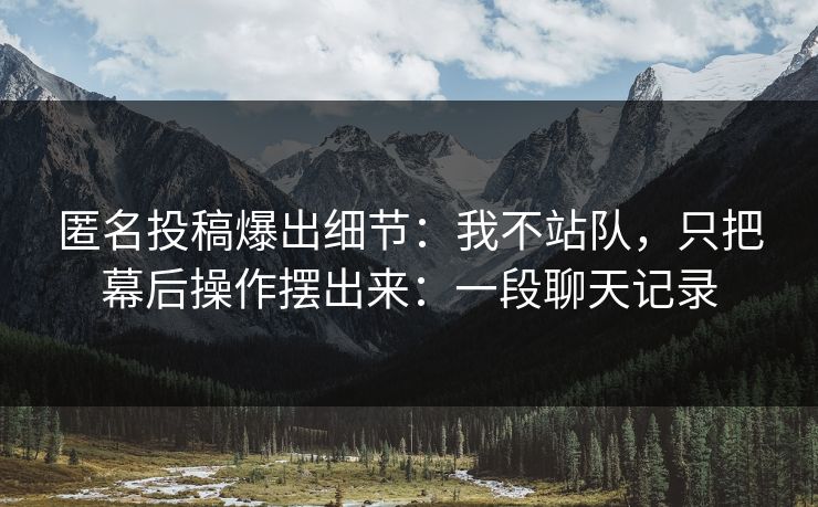 匿名投稿爆出细节：我不站队，只把幕后操作摆出来：一段聊天记录