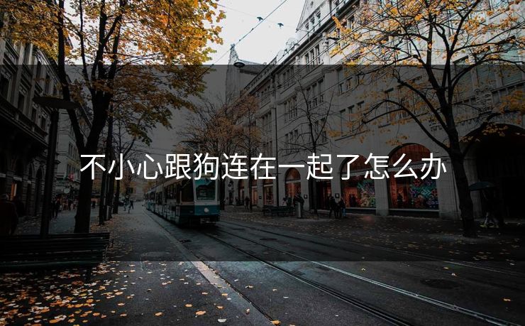 不小心跟狗连在一起了怎么办