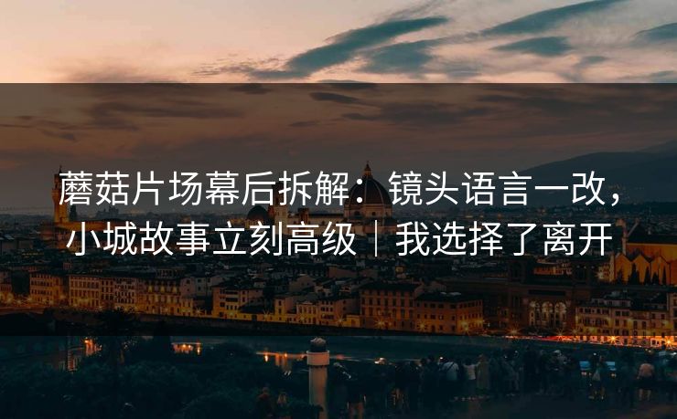 蘑菇片场幕后拆解：镜头语言一改，小城故事立刻高级｜我选择了离开